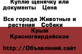 Куплю щенячку или документы › Цена ­ 3 000 - Все города Животные и растения » Собаки   . Крым,Красногвардейское